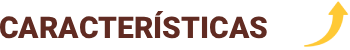 caracteristicas.png